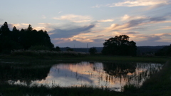 寒々とした夕景