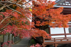藻原寺の境内
