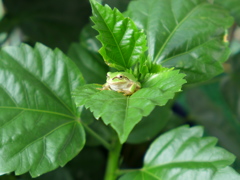 こんなところに