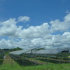ただいま発電中