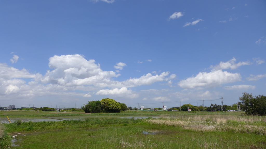 海に向かってどこまでも平ら