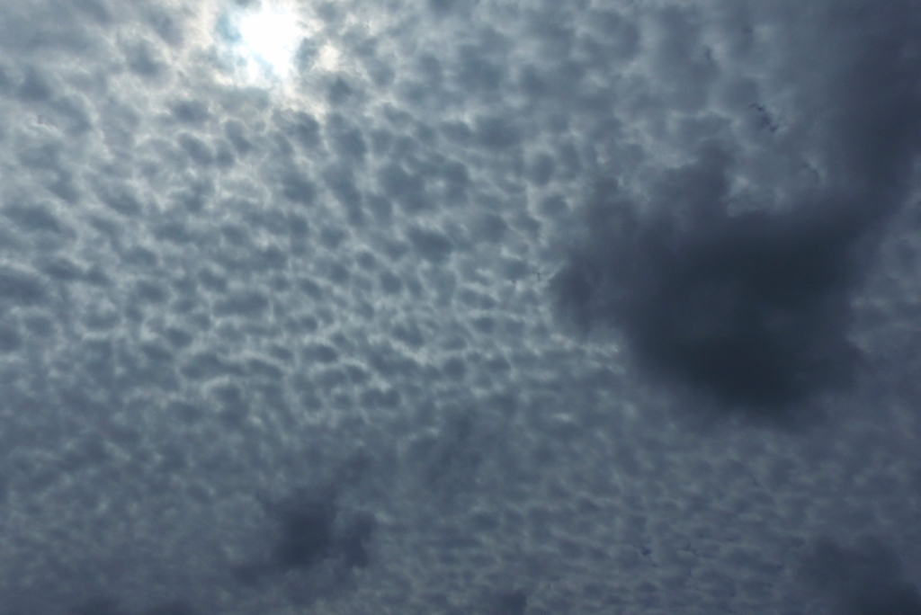 雲・雲