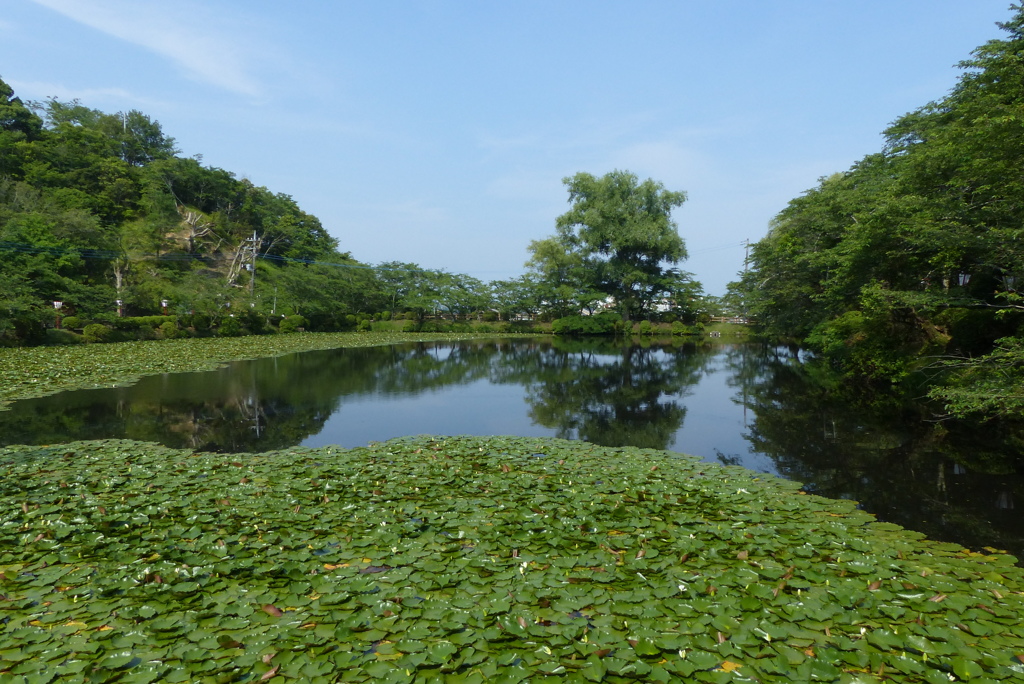 茂原公園