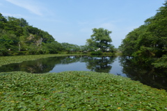 茂原公園