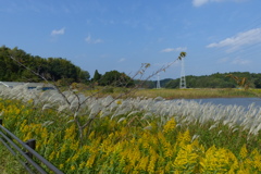 池のある秋の風景