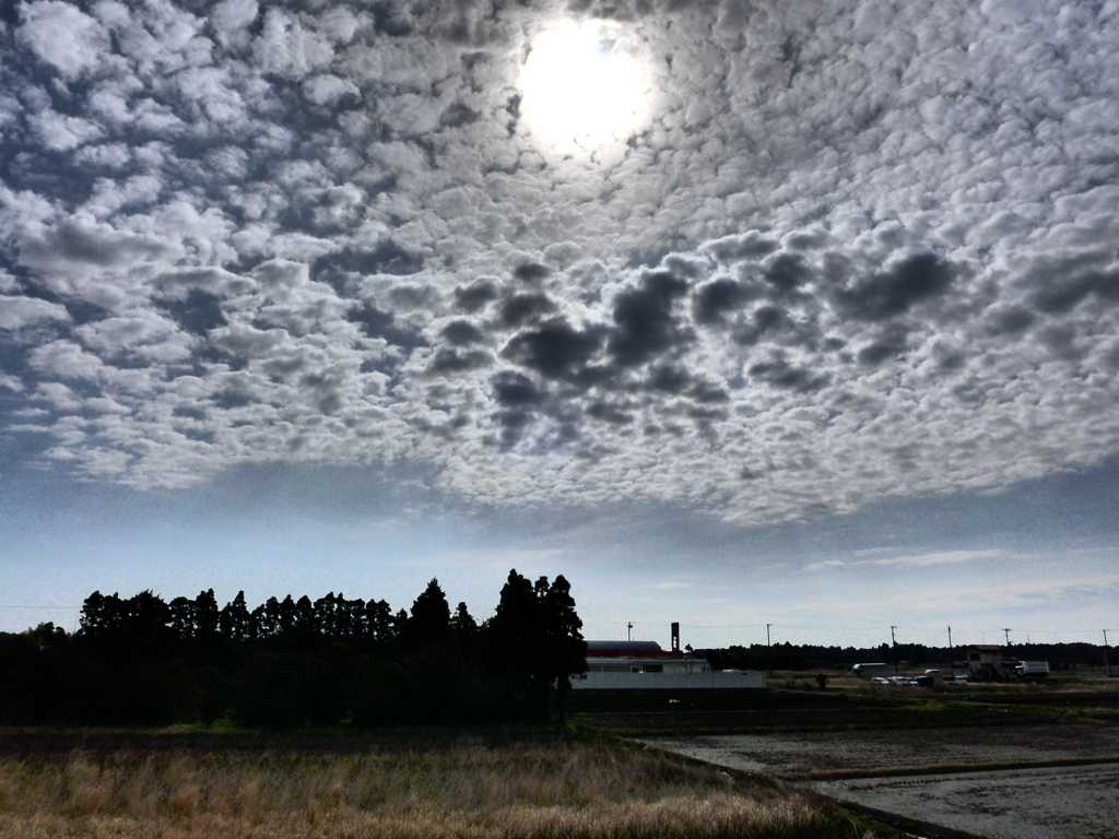 密集する雲