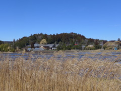 里山風景