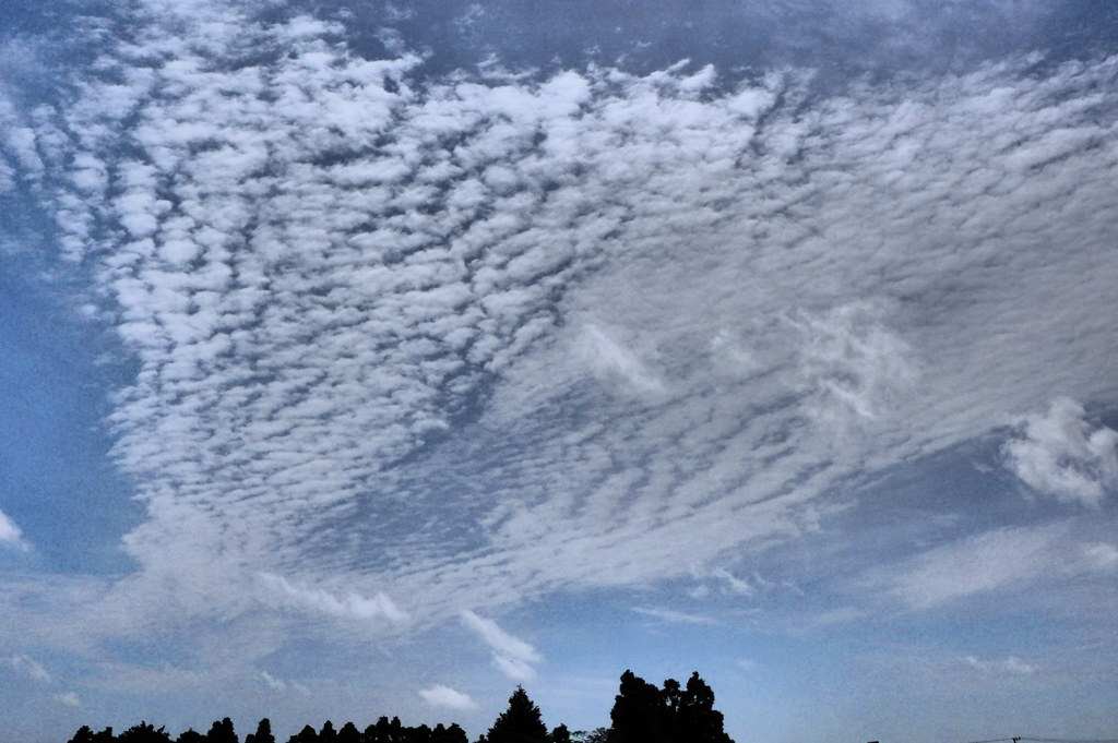 鱗雲