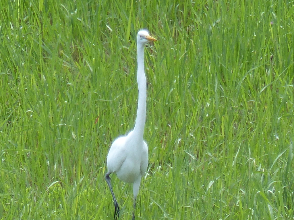 陽だまりの中で