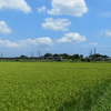 外房線