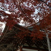 藻原寺本堂