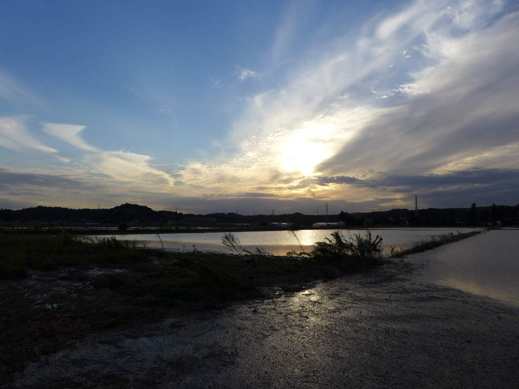 夕景がきれいになってきた