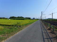 線路沿いの道