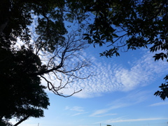 秋？の空