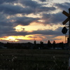 夕景