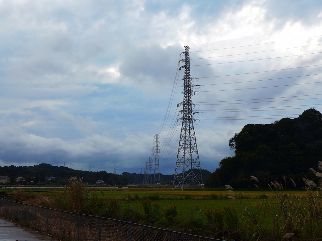 冬の手前の雰囲気
