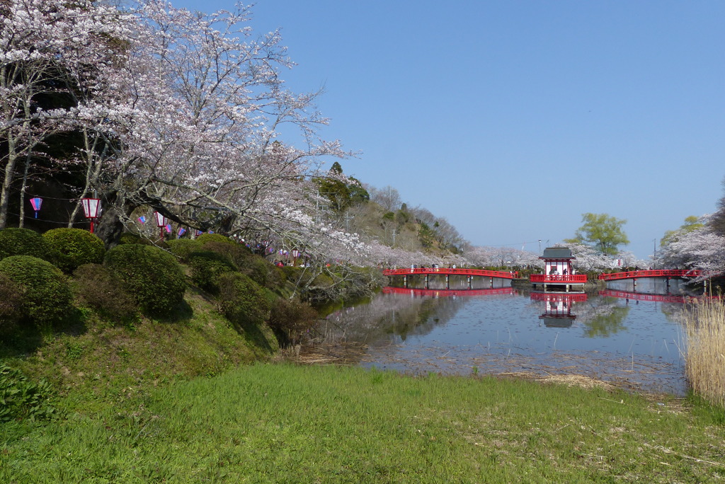 茂原公園　3