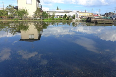 大雨の土産