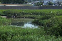 反対側からの光景