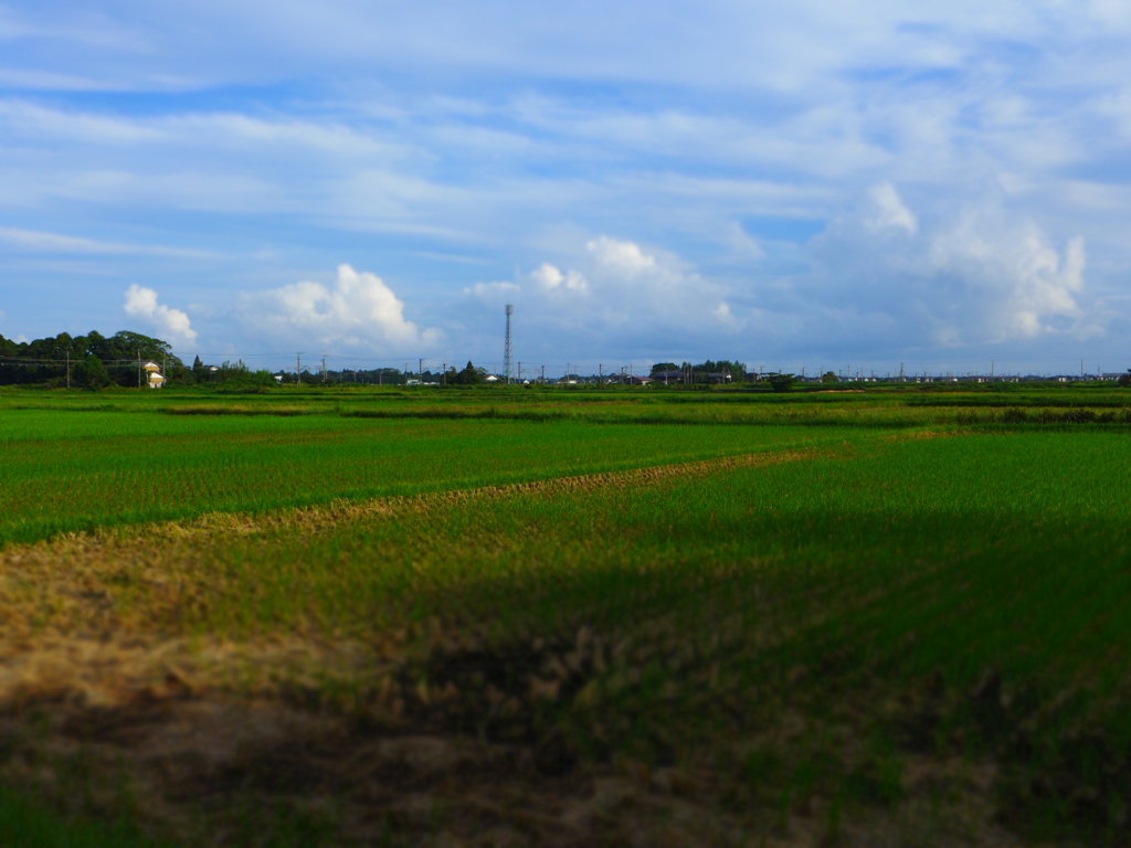 ジオラマ　作例2