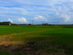 ジオラマ　作例2