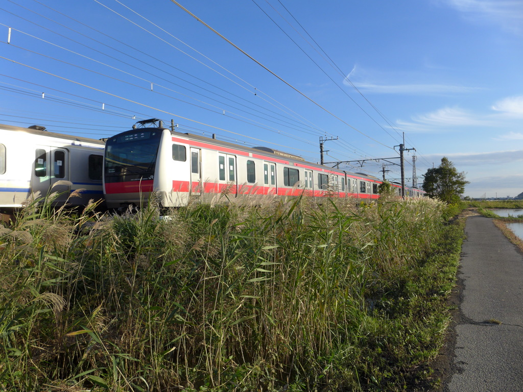 珍しいツーショット