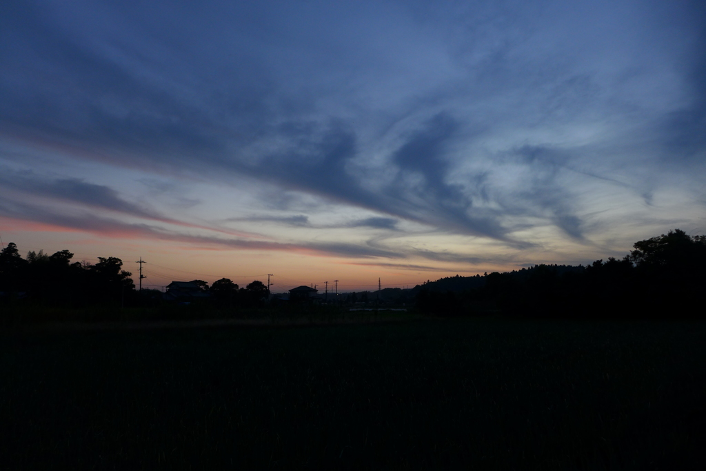 寂しげな夕景