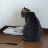 もっと欲しいんだけど・・・・