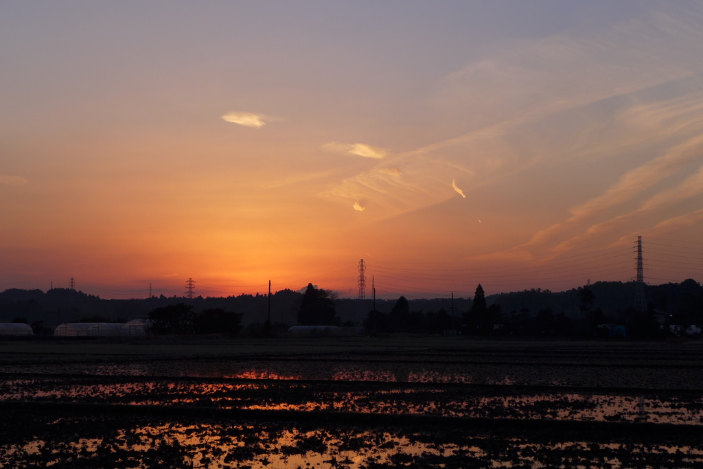 夕景