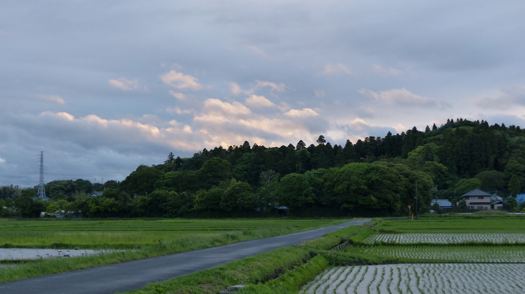 里山の夕方