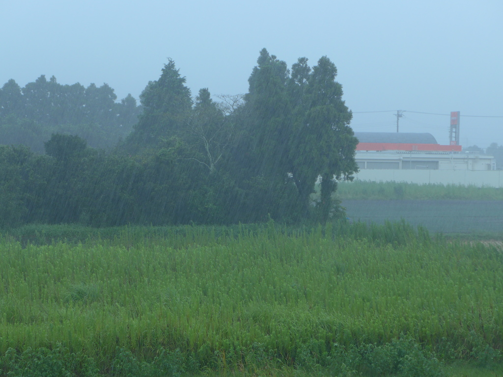 豪雨　２