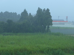 豪雨　２
