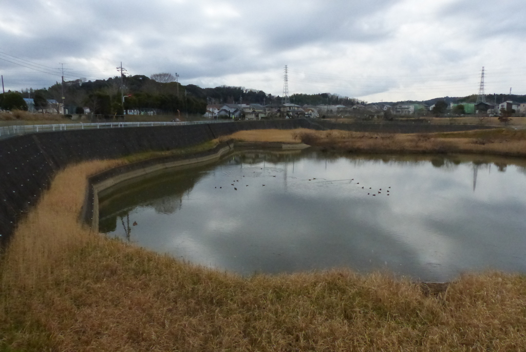 コロニーの冬景色