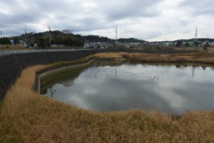 コロニーの冬景色