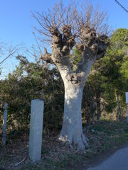 境界石碑　1
