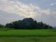西の空