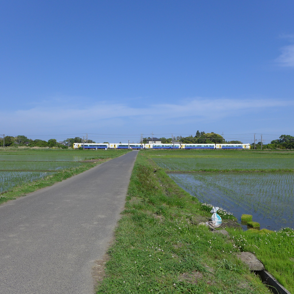 田んぼと電車③