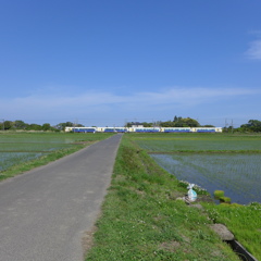 田んぼと電車③
