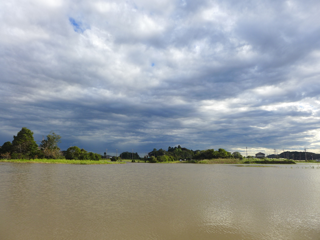 大河のほとり…