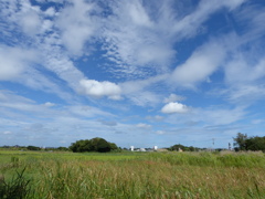 秋の空