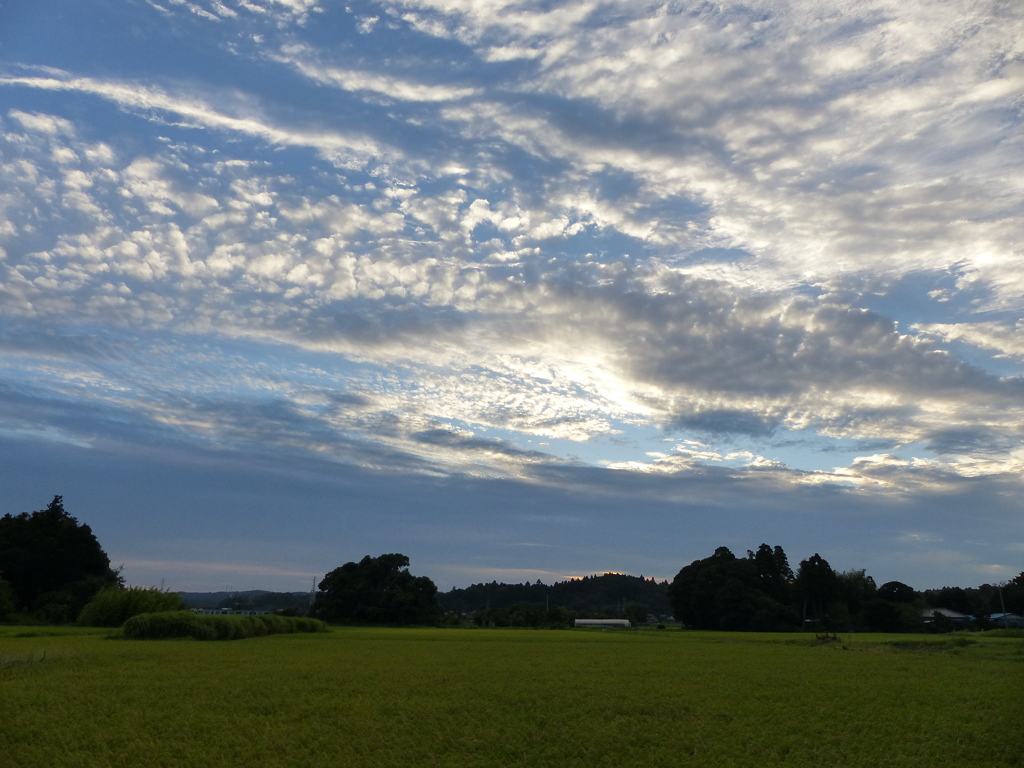 秋雲　1