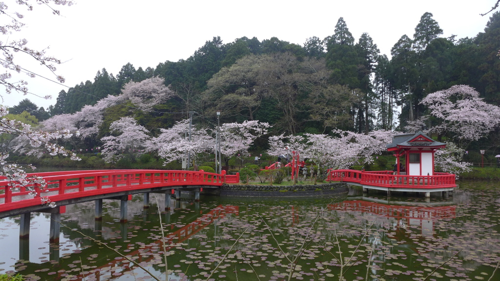 弁天池の風景