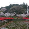 弁天池の風景