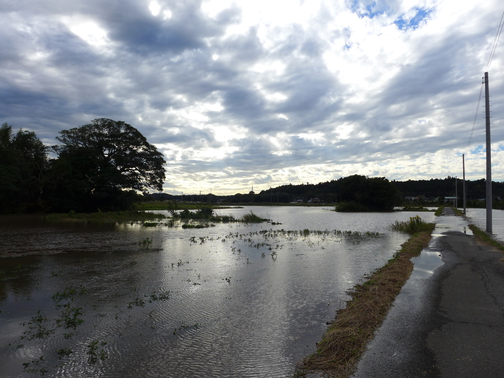 大きな池が見えてきた