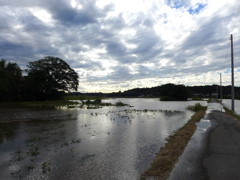 大きな池が見えてきた