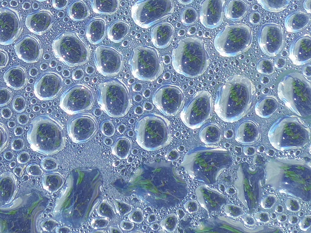 露　３