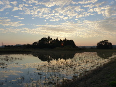田んぼの夕景