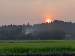 夕陽　5