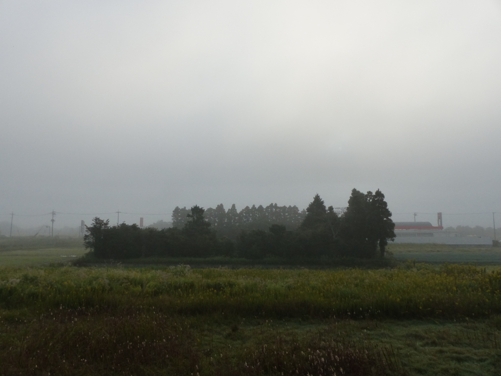 濃霧の朝