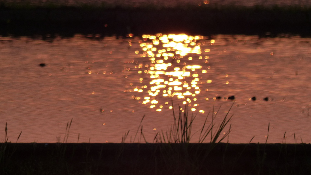 夕映え
